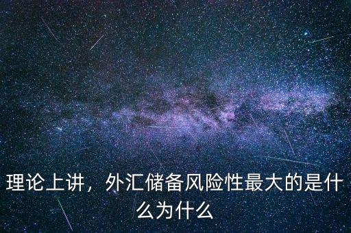 理論上講，外匯儲備風(fēng)險性最大的是什么為什么