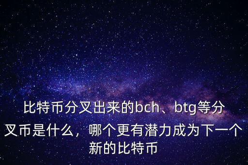 比特幣分叉出來(lái)的bch、btg等分叉幣是什么，哪個(gè)更有潛力成為下一個(gè)新的比特幣