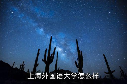 上海歐薩怎么樣,上海外國(guó)語(yǔ)大學(xué)怎么樣