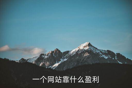 一個(gè)網(wǎng)站靠什么盈利