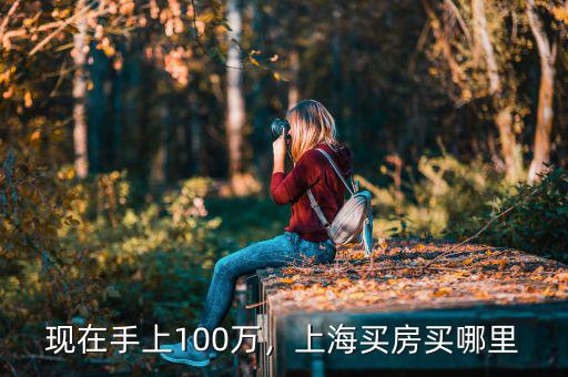 100萬(wàn)在中國(guó)能買什么樣的房子,如果有100萬(wàn)