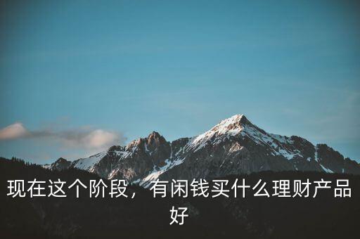 現(xiàn)在這個階段，有閑錢買什么理財產(chǎn)品好