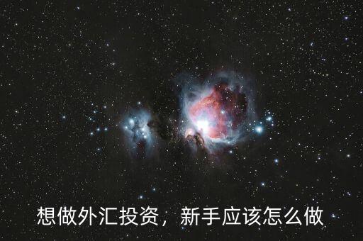 想做外匯投資，新手應(yīng)該怎么做