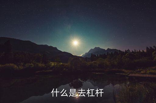 什么是去杠桿