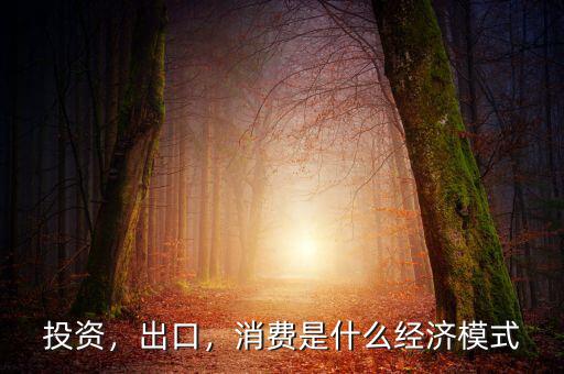 什么是消費(fèi)投資模式,消費(fèi)是什么經(jīng)濟(jì)模式