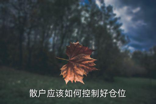 怎么控制倉位,散戶應(yīng)該如何控制好倉位