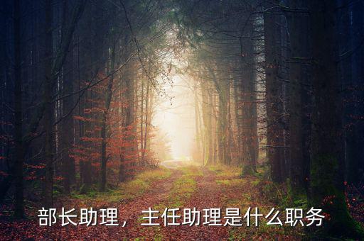 商務(wù)部部長助理什么級別,主任助理是什么職務(wù)