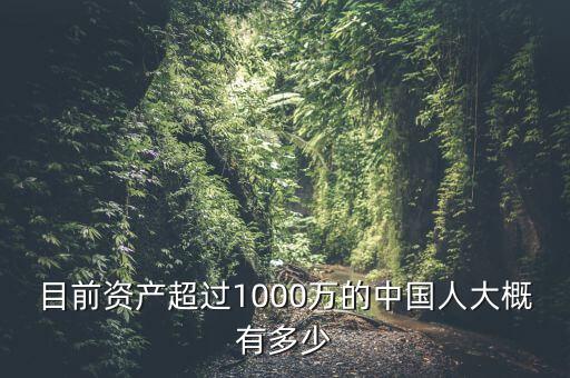 目前資產超過1000萬的中國人大概有多少