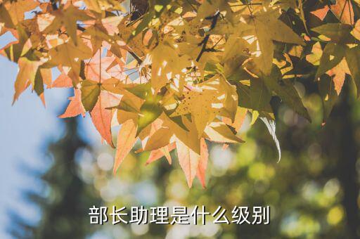 部長助理是什么級別