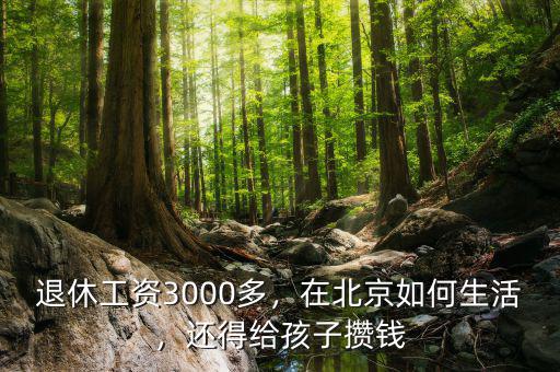 退休工資3000多，在北京如何生活，還得給孩子攢錢