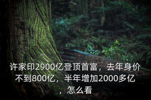 許家印2900億登頂首富，去年身價不到800億，半年增加2000多億，怎么看