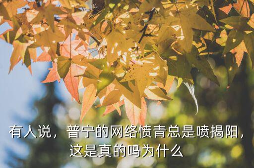 揭陽巨輪的發(fā)展前景怎么樣,普寧的網(wǎng)絡憤青總是噴揭陽