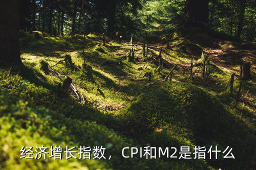 經(jīng)濟(jì)增長(zhǎng)指數(shù)，CPI和M2是指什么