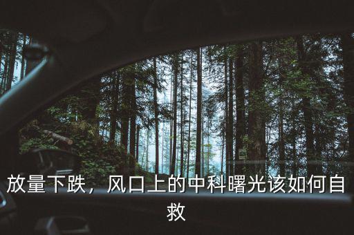 放量下跌，風(fēng)口上的中科曙光該如何自救