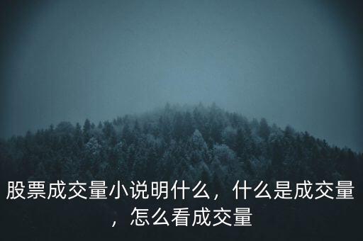 股票看成交量說明什么,什么是股票成交量