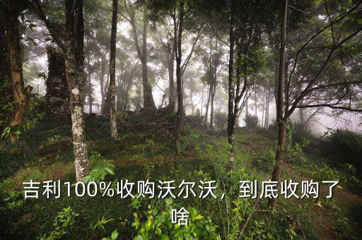 吉利100%收購沃爾沃，到底收購了啥