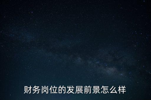 卓壯財務(wù)怎么樣,財務(wù)bp是做什么的