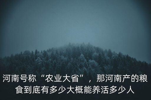 河南號稱“農業(yè)大省”，那河南產的糧食到底有多少大概能養(yǎng)活多少人