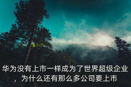 華為沒有上市一樣成為了世界超級(jí)企業(yè)，為什么還有那么多公司要上市