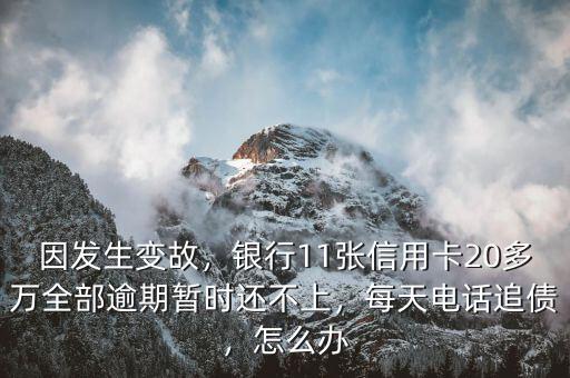 因發(fā)生變故，銀行11張信用卡20多萬全部逾期暫時還不上，每天電話追債，怎么辦