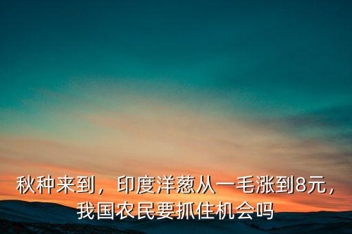 秋種來(lái)到，印度洋蔥從一毛漲到8元，我國(guó)農(nóng)民要抓住機(jī)會(huì)嗎