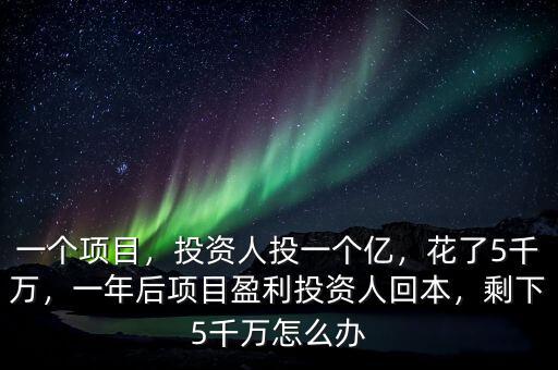 一個項目，投資人投一個億，花了5千萬，一年后項目盈利投資人回本，剩下5千萬怎么辦