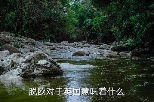 脫歐對(duì)于英國(guó)意味著什么