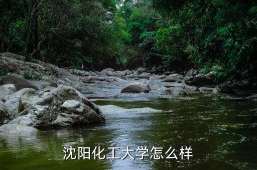 沈陽藍晶科技怎么樣,請問一下沈陽科技學(xué)院怎么樣