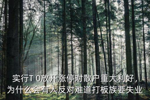 實行T 0放開漲停對散戶重大利好，為什么會有人反對難道打板族要失業(yè)