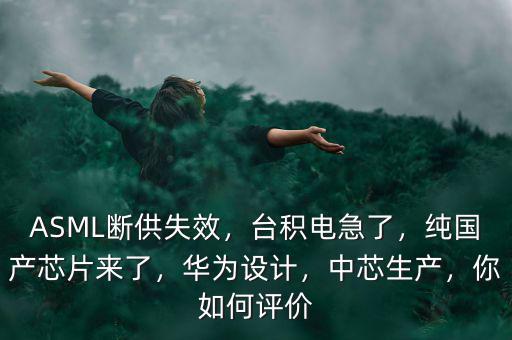 ASML斷供失效，臺積電急了，純國產(chǎn)芯片來了，華為設(shè)計，中芯生產(chǎn)，你如何評價