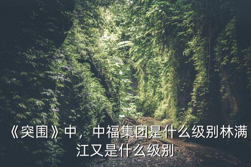 袁庚是什么級別,中福集團(tuán)是什么級別