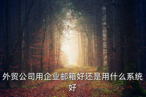 外貿公司用企業(yè)郵箱好還是用什么系統(tǒng)好