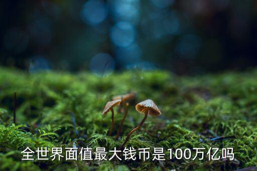 全世界面值最大錢(qián)幣是100萬(wàn)億嗎