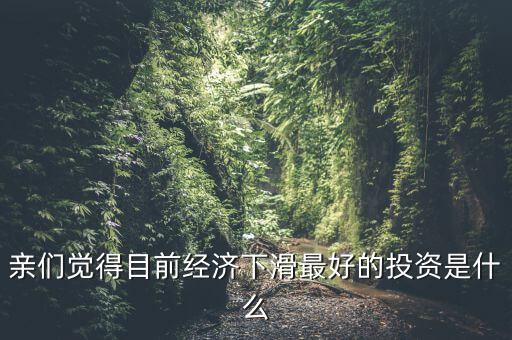 親們覺得目前經(jīng)濟下滑最好的投資是什么