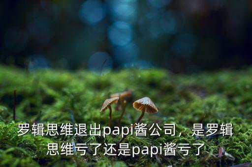 羅輯思維退出papi醬公司，是羅輯思維虧了還是papi醬虧了