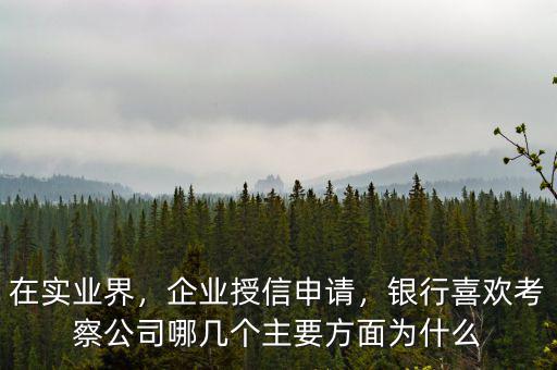 在實業(yè)界，企業(yè)授信申請，銀行喜歡考察公司哪幾個主要方面為什么