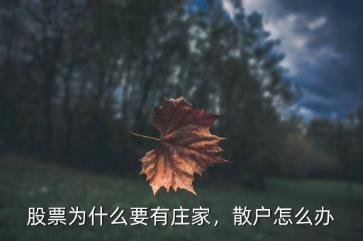 股票為什么要有莊家，散戶怎么辦