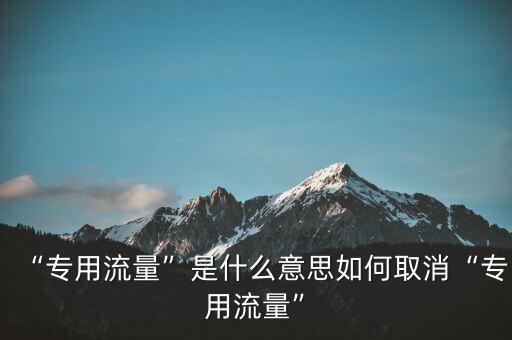 流量革命是個(gè)什么軟件,專(zhuān)用流量是什么意思