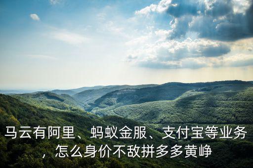 馬云有阿里、螞蟻金服、支付寶等業(yè)務(wù)，怎么身價(jià)不敵拼多多黃崢