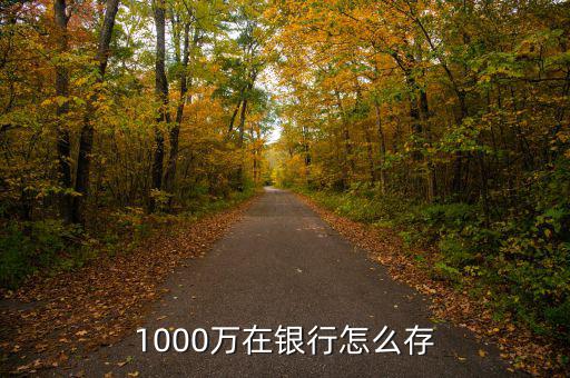 1000萬(wàn)在銀行怎么存