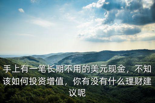 手上有一筆長期不用的美元現(xiàn)金，不知該如何投資增值，你有沒有什么理財建議呢