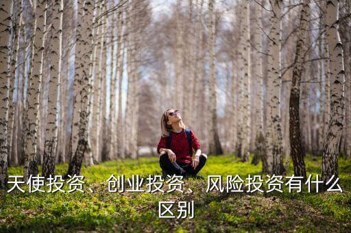 tmt投資是什么,風(fēng)險(xiǎn)投資有什么區(qū)別