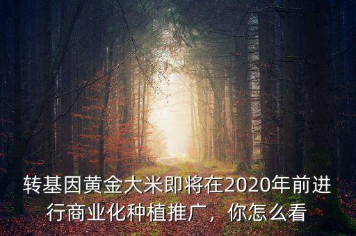 轉(zhuǎn)基因黃金大米即將在2020年前進(jìn)行商業(yè)化種植推廣，你怎么看