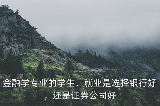 學金融學的開什么公司好,金融學專業(yè)的學生