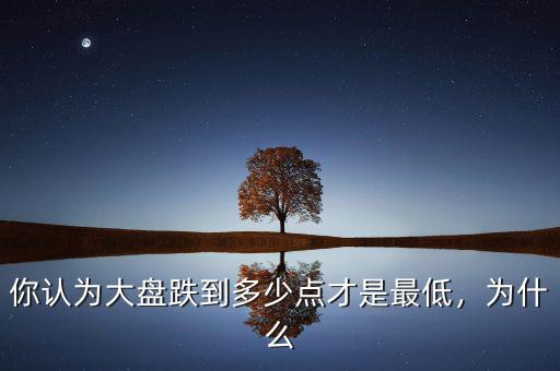 你認(rèn)為大盤跌到多少點(diǎn)才是最低，為什么