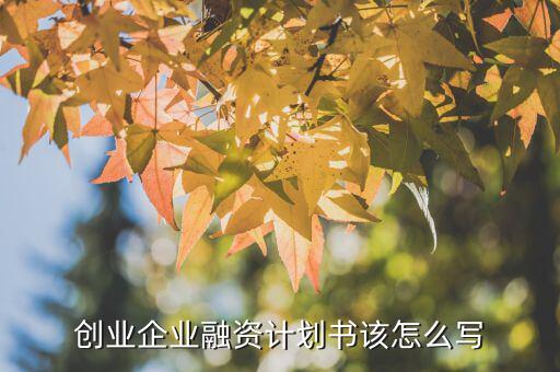 微小企業(yè)融資計劃怎么寫,小微企業(yè)創(chuàng)業(yè)計劃書怎么寫