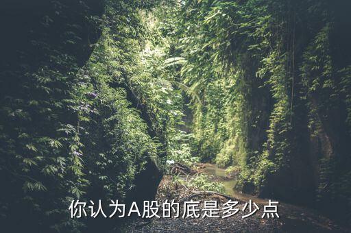 你認(rèn)為A股的底是多少點(diǎn)