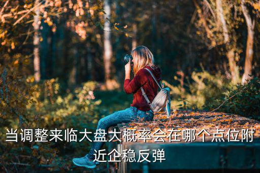 當(dāng)調(diào)整來(lái)臨大盤大概率會(huì)在哪個(gè)點(diǎn)位附近企穩(wěn)反彈