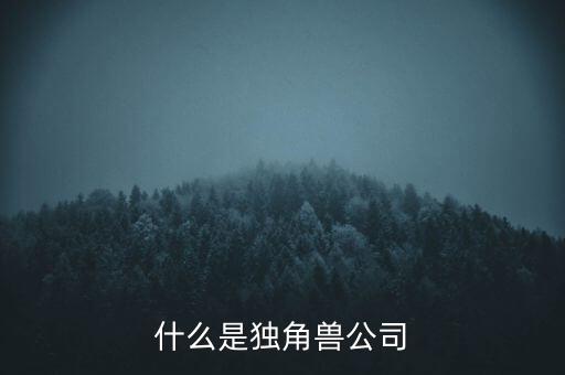 小米公司第六輪融資什么時(shí)候,什么是獨(dú)角獸公司