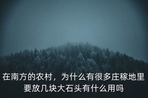 在南方的農(nóng)村，為什么有很多莊稼地里要放幾塊大石頭有什么用嗎